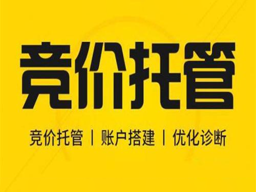 百度竞价-搜索引擎广告排名